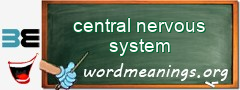 WordMeaning blackboard for central nervous system